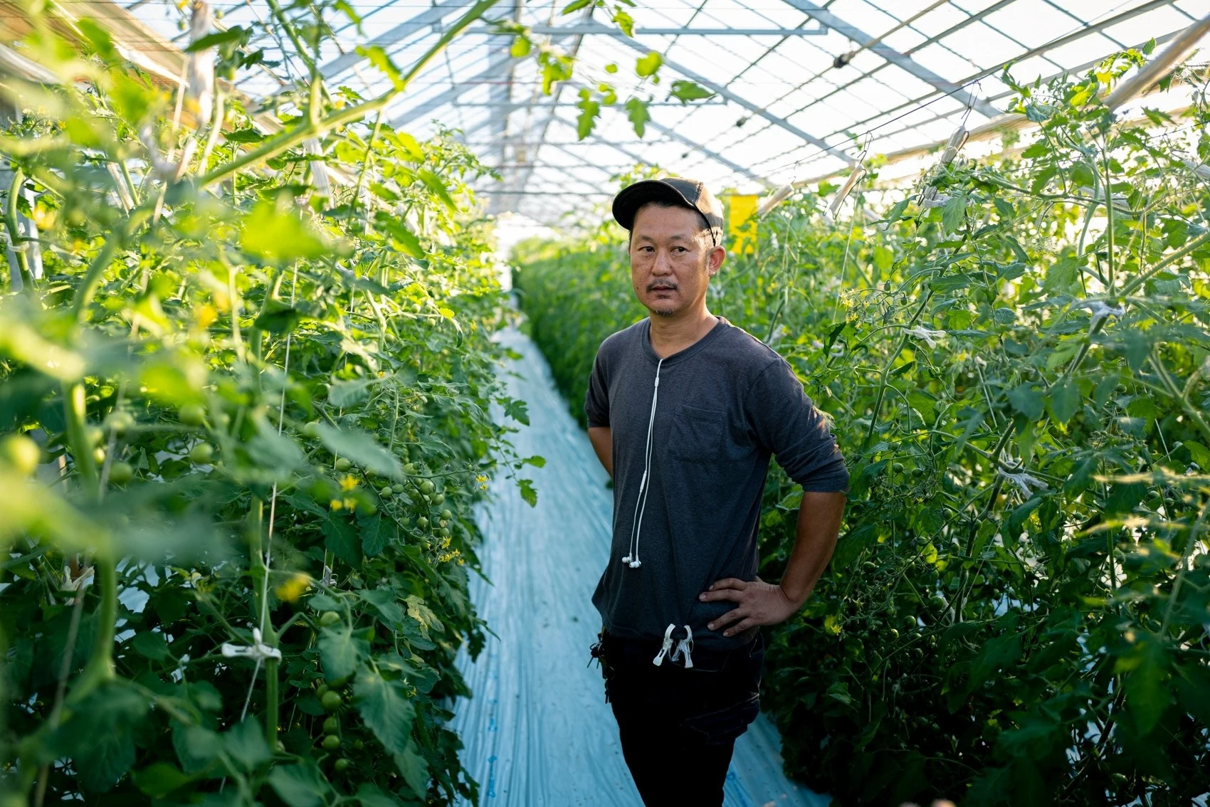 dale — Portrait of a grower in the fields