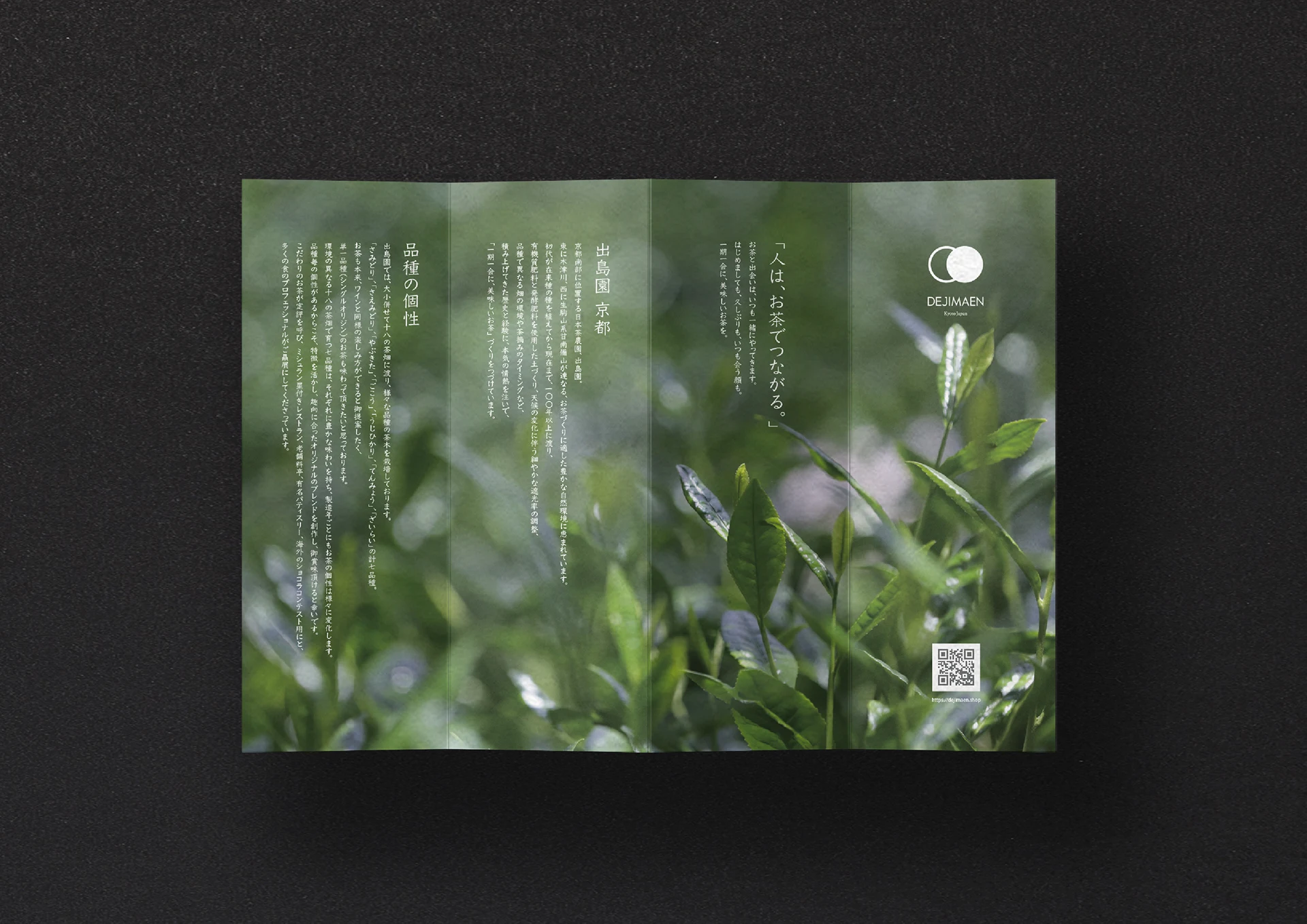 dejimaen kyoto japan — Tea field brochure cover