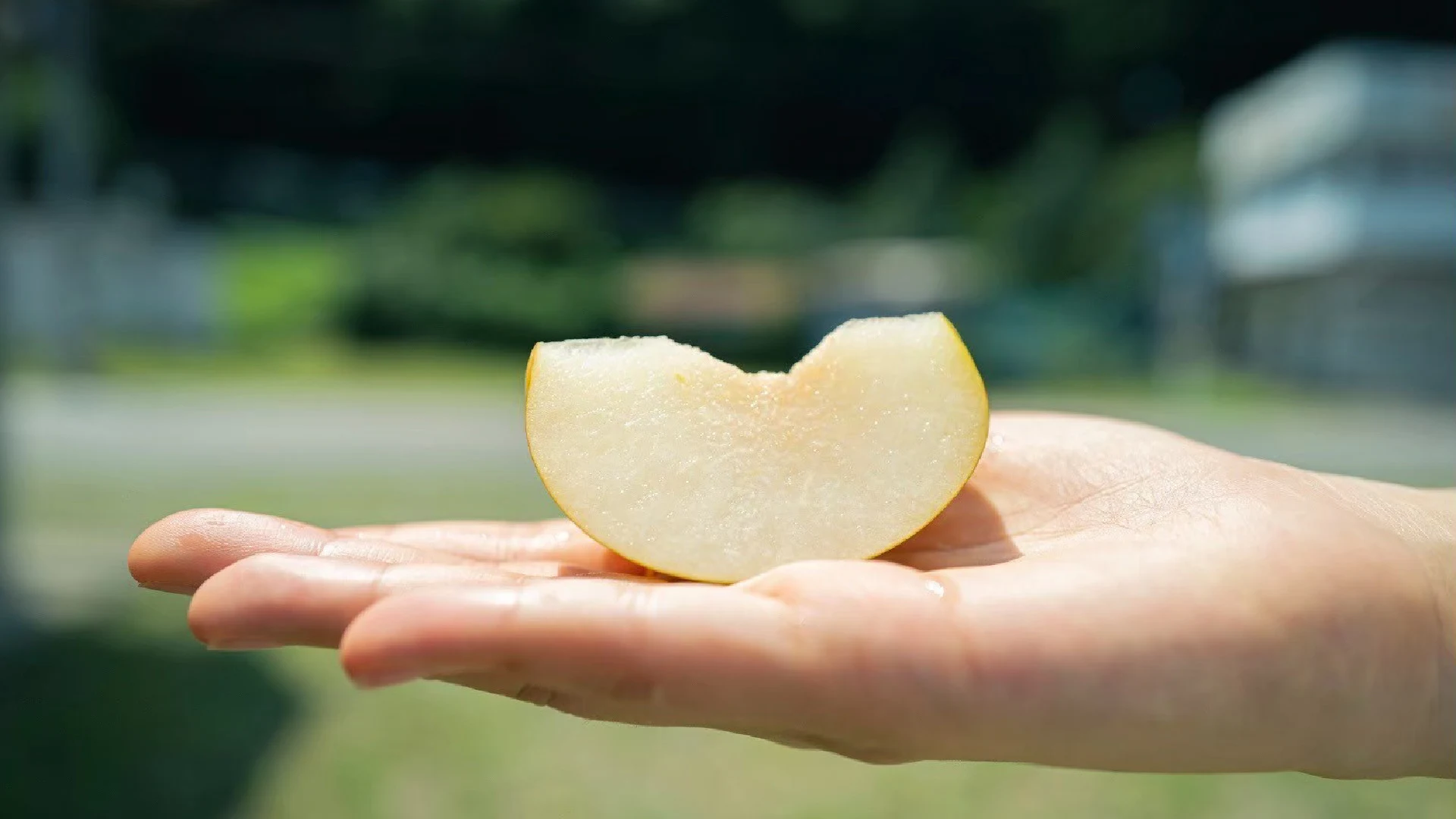 fruitsline — Freshly cut pear