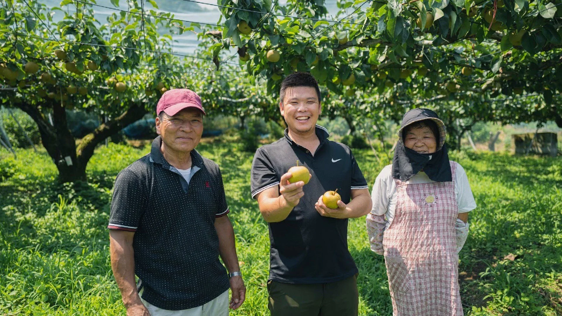 wada — Orchard growers